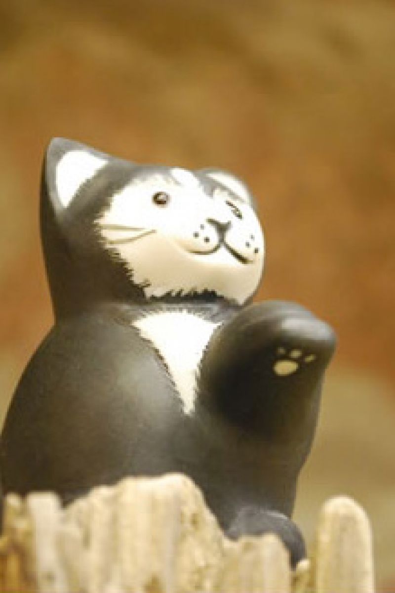 CAT BLACK