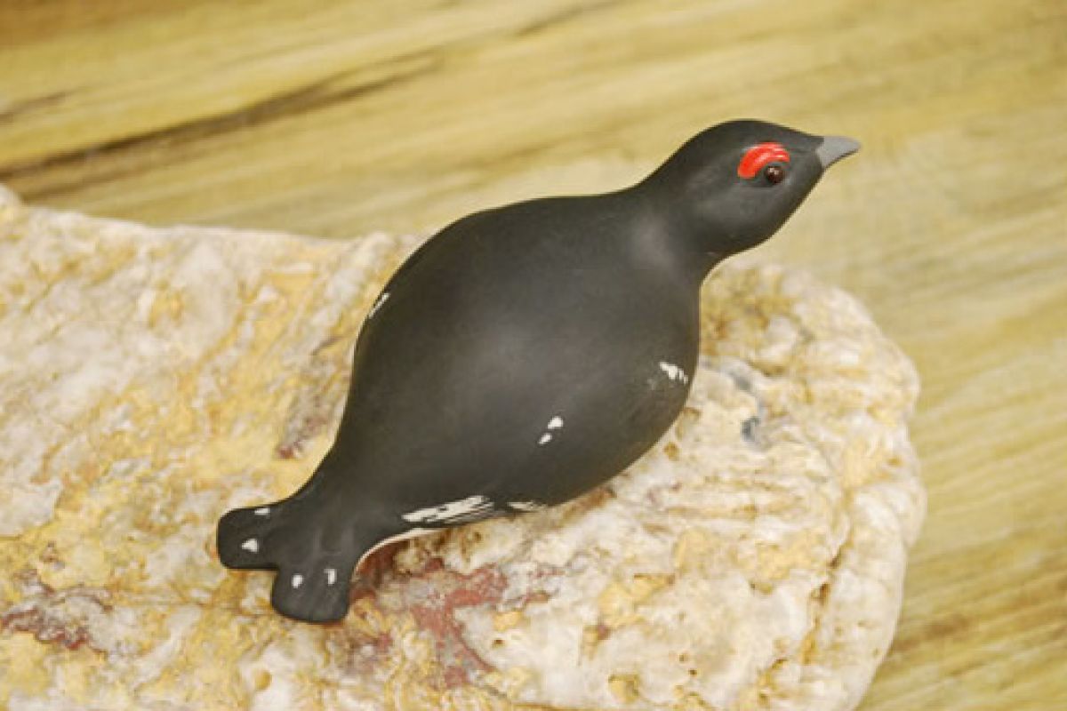 BLACK GROUSE
