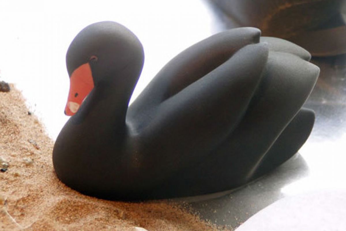 BLACK SWAN