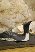 BLACK THROATED DIVER