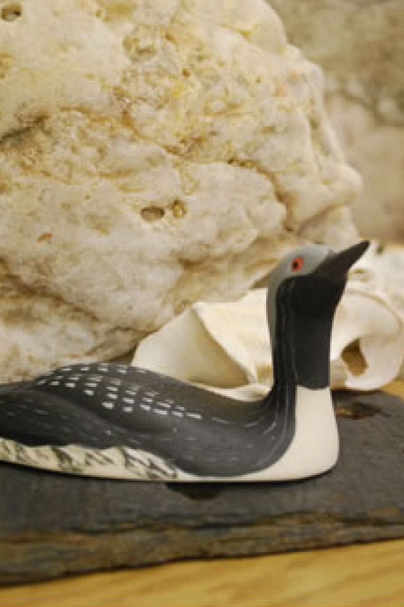 BLACK THROATED DIVER