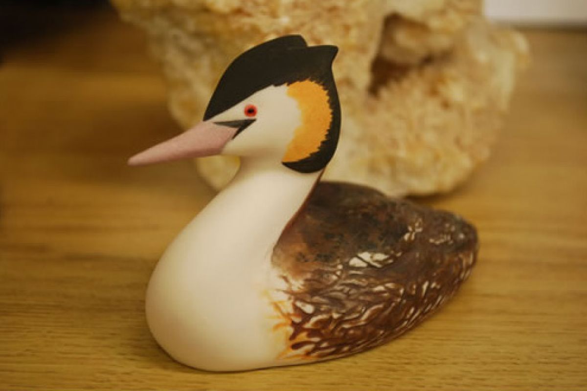 GREAT CRESTED GREBE
