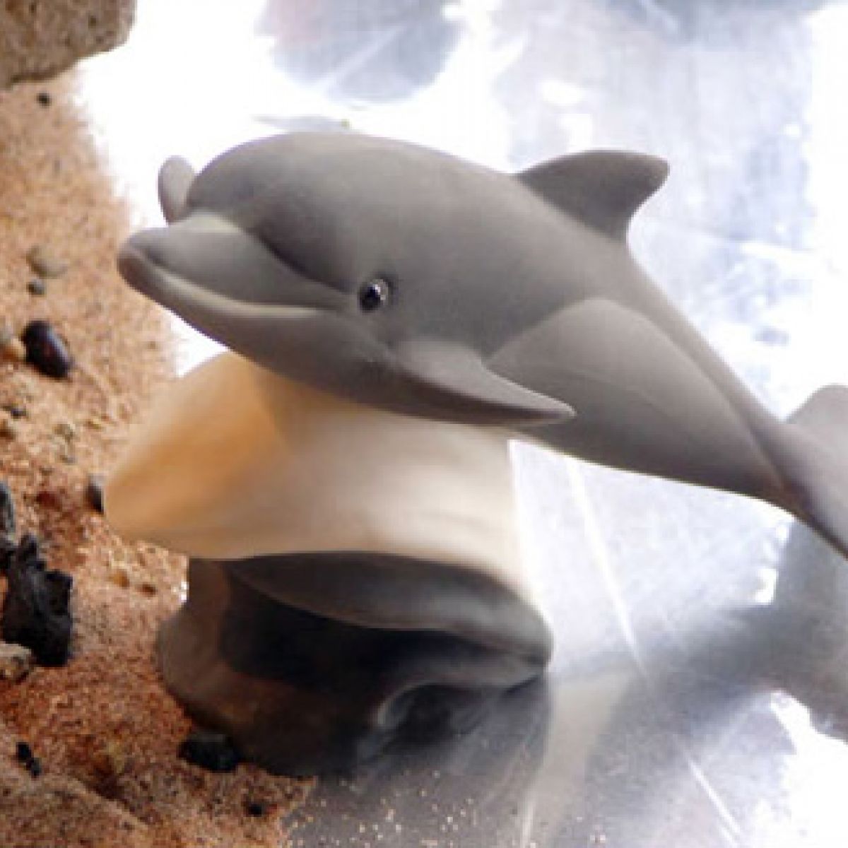 DOLPHIN LEAPING