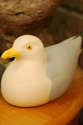 HERRING GULL