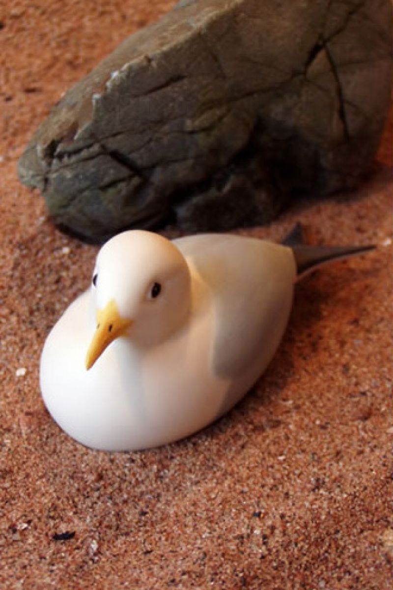 KITTIWAKE