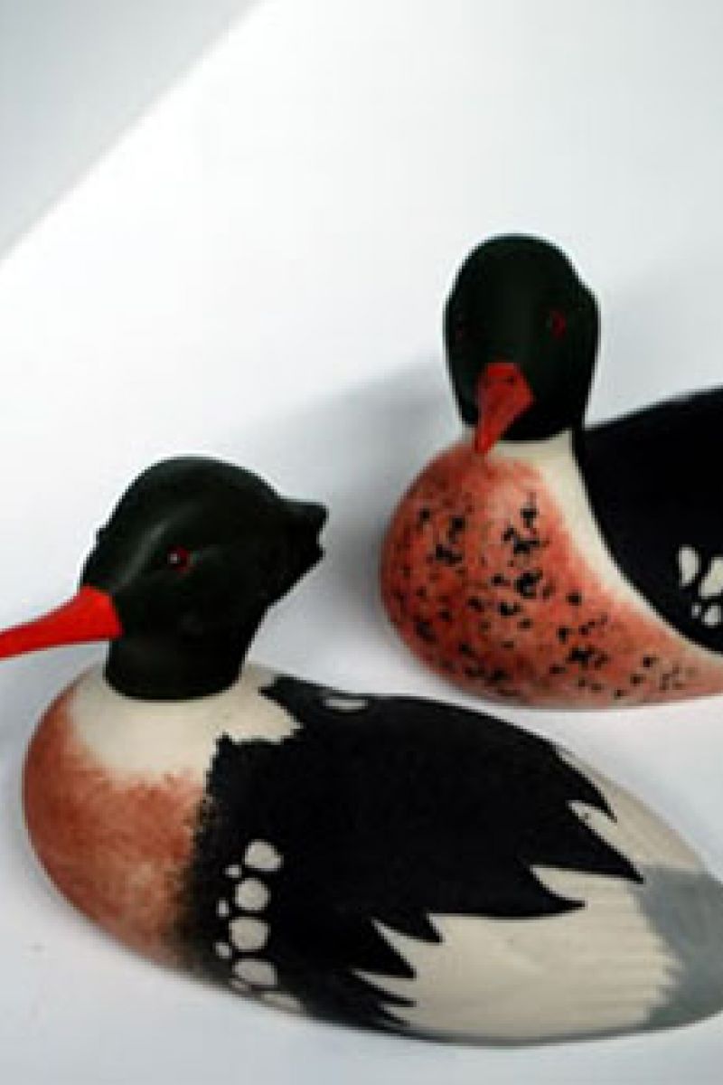 RED BREASTED MERGANSER