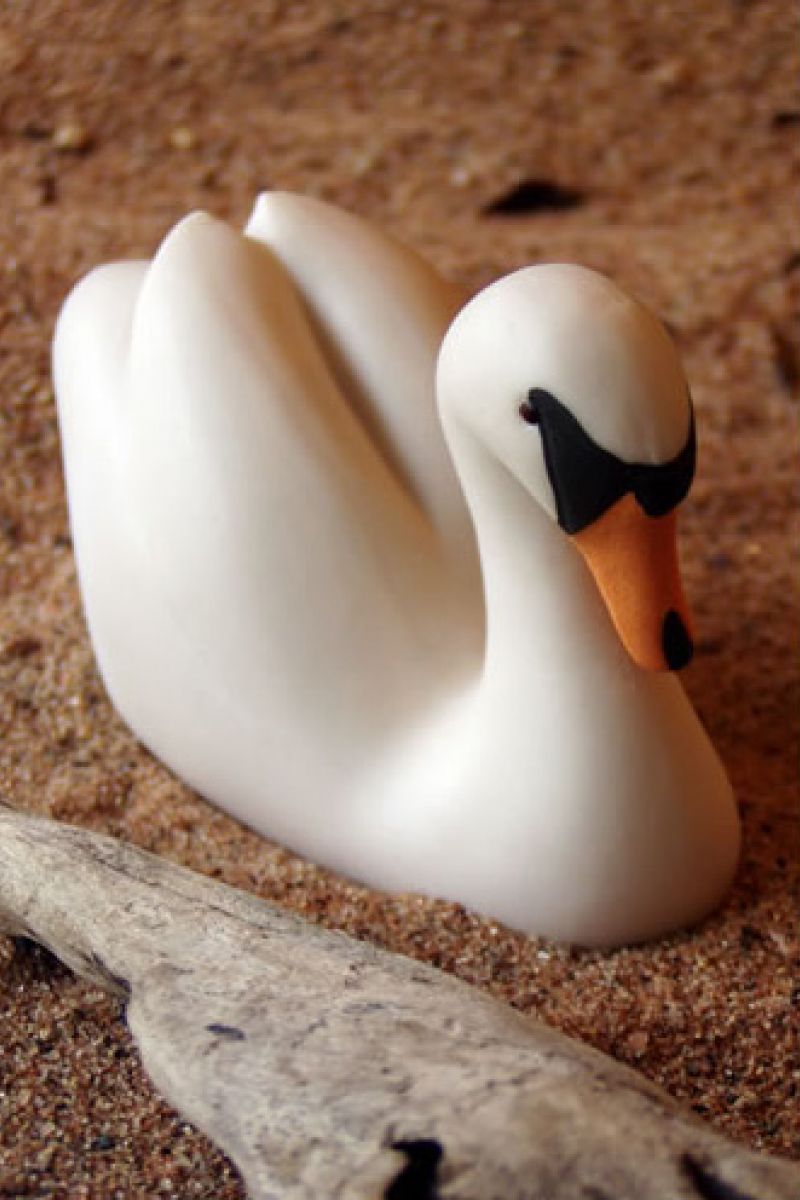 MUTE SWAN