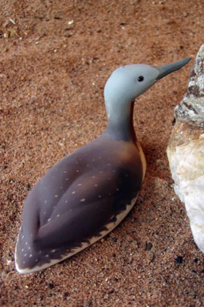 RED THROATED DIVER