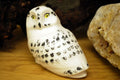 SNOWY OWL