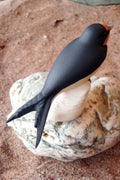 SWALLOW