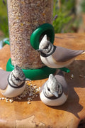CRESTED TIT