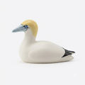 GANNET
