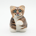 CAT - GINGER