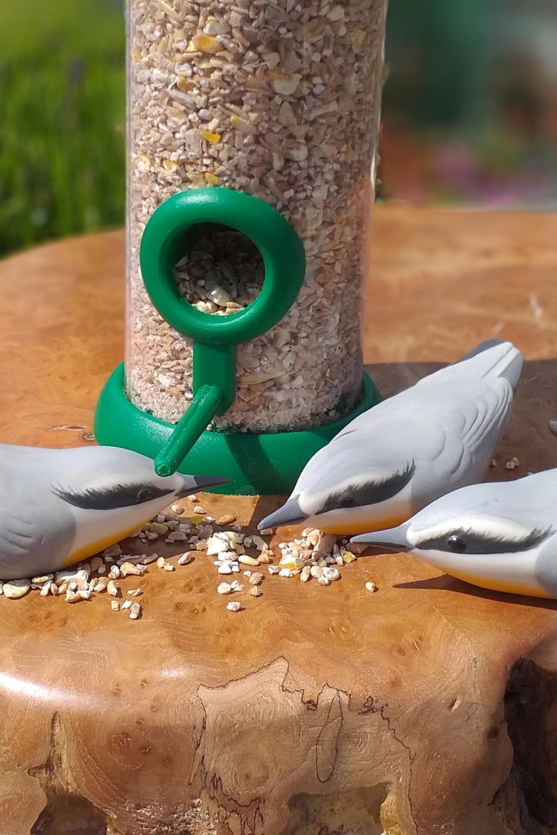 NUTHATCH