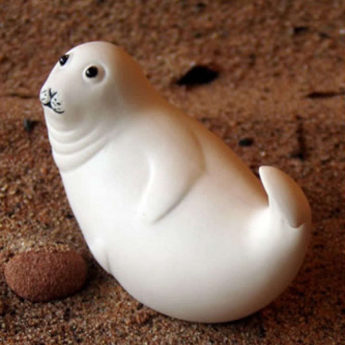 SEAL PUP - TAIL UP