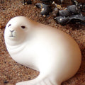 SEAL PUP - WHITE