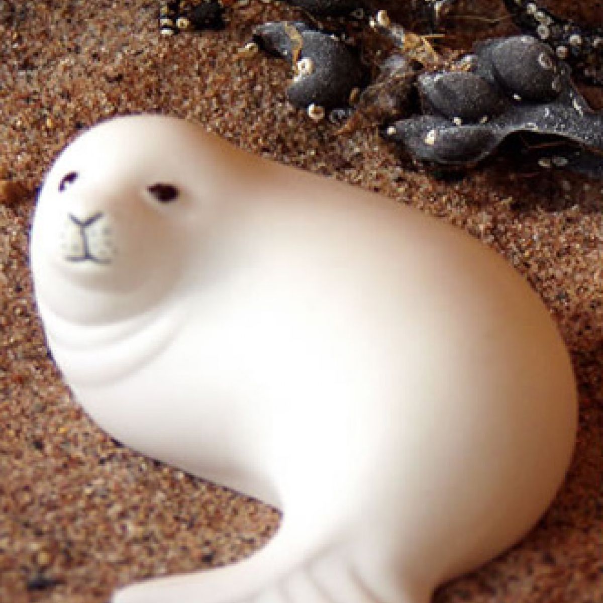 SEAL PUP - WHITE